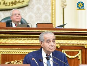 مصر.. السلع الغذائية تثير "صحوة برلمانية" ضد وزير التموين