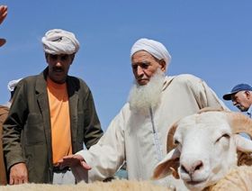 المغرب.. ما التأثيرات الاقتصادية لقرار إلغاء ذبح الأضاحي في العيد؟