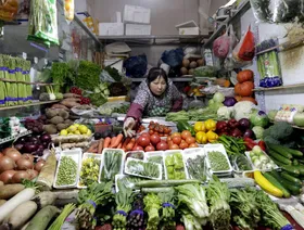 السكر والألبان والحبوب تخفّض أسعار الغذاء عالمياً.. واللحوم تسجل مستويات قياسية