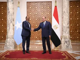 السيسي يبحث مع رئيس الصومال أوضاع القرن الإفريقي وأمن البحر الأحمر