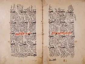 العلماء العرب والأمازيغ في المغرب.. بناء العربية وعلومها