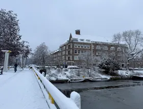 هولندا.. تساقط الثلوج يعطل حركة الطيران والقطارات والطرق