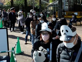 حزن في اليابان قبل مغادرة آخر 2 من الباندا إلى الصين