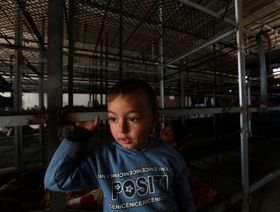 "الحياة في قفص".. حرب غزة تضطر نازحين للسكن في مزرعة دواجن