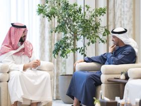 الرئيس الإماراتي يبحث التعاون المشترك مع وزير الدفاع السعودي