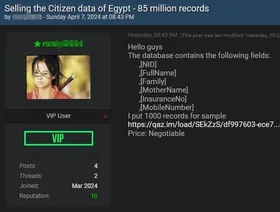 مجهول يزعم حصوله على 85 مليون سجل بيانات لمصريين على الإنترنت