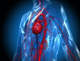 دراسة: تناول "الفياجرا" مع أدوية النترات يهدد حياة مرضى القلب