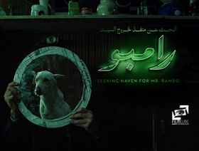 "السيد رامبو".. محاولة كلب أعور الفرار من المدينة الملعونة