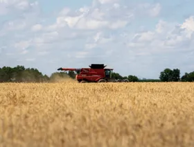 بعد التوصل لـ"هدنة تجارية".. الصين تشتري القمح الأميركي لأول مرة منذ 2024