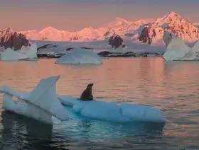 الأمم المتحدة: الأنهار الجليدية تتلاشى بمعدلات غير مسبوقة