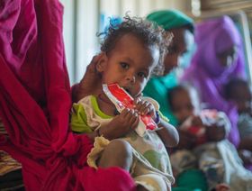 الأمم المتحدة: 5 ملايين سوداني يواجهون خطر الجوع الكارثي خلال أشهر