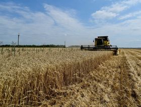 أوكرانيا.. المزارعون بانتظار ممر للتصدير مع تصاعد تكاليف الحرب