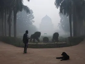جودة الهواء في نيودلهي عند مستويات "خطرة" بعد ألعاب نارية احتفالية