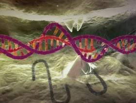FDA تجيز استخدام "مقص كريسبر" لعلاج مرض فقر الدم المنجلي