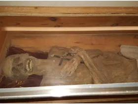 تعود للقرن الـ18.. باحثون يحلون لغز تحنيط مومياء بشرية في النمسا