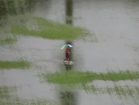 فيضانات في تايلندا وماليزيا وفيتنام: وفاة العشرات وتشريد الآلاف وغمر 200 ألف منزل