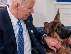 كلب بايدن "كوماندر" يغادر البيت الأبيض بسبب "العض"