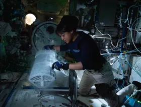 وكالة الفضاء السعودية: تصنيع مادة نانوية لإصلاح الغضاريف في الفضاء لأول مرة