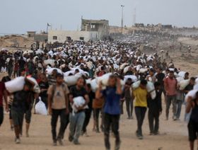 ويتكوف يتوجه إلى إسرائيل لبحث "الأزمة الإنسانية" في غزة و"قد يزور القطاع"