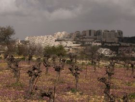 الأمم المتحدة: توسع إسرائيل في بناء مستوطنات الضفة الغربية "جريمة حرب"
