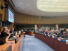 "تحالف حل الدولتين".. تأكيد على رفض تهجير الفلسطينيين ودعم خطة إعادة إعمار غزة