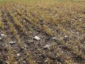 المغرب.. خطط لتأمين 60% من الاحتياجات المائية بتحلية مياه البحر