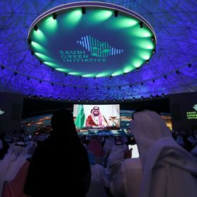 السعودية تحتفي بالمبادرة الخضراء.. يوم رسمي وفعاليات متنوعة
