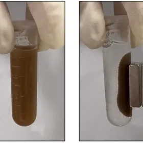 طريقة جديدة للكشف عن أمراض الجهاز الهضمي باستخدام "حبوب بكتيريا"