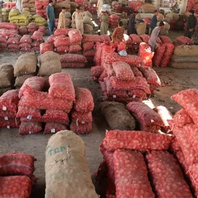 على وقع اشتباكات الحدود.. اندلاع حرب تجارية بين باكستان وأفغانستان