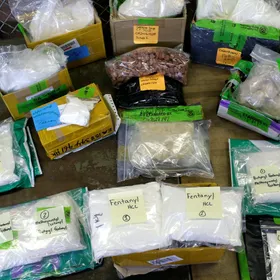 بعد قرار ترمب بتصنيفه "سلاح دمار شامل".. ما هو الفنتانيل؟