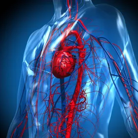 اكتشاف دواء أفضل من الأسبرين للوقاية من النوبات القلبية والسكتات الدماغية