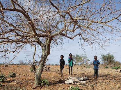 جفاف يضرب منطقة جيدو جنوبي الصومال - 20 يونيو 2022  - REUTERS