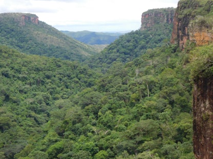 غابة الوادي بالبرازيل والتي تقع على أطراف غابات الأمازون وهي معرضة بشكل خاص للجفاف - rainfor.org