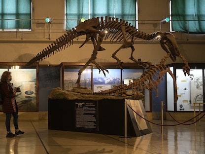 امرأة تنظر إلى نسخة طبق الأصل من أحفورة ديناصور ، Megaraptor namunhuaiquii ، في متحف Bernardino Rivadavia الأرجنتيني للعلوم الطبيعية ، في بوينس آيرس - 2 مايو 2022 - AFP