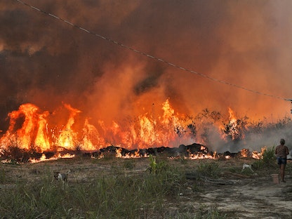 النار تلتهم إحدى الغابات في البرازيل - AFP