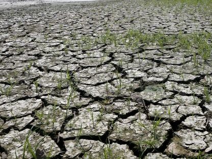 انخفاض منسوب المياه في نهر ماجدالينا بعد ارتفاع درجة الحرارة بسبب ظاهرة "إل نينو" في كولومبيا. 14 يناير 2016 - Reuters