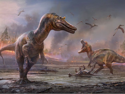 صورة تعبيرية لديناصورين  