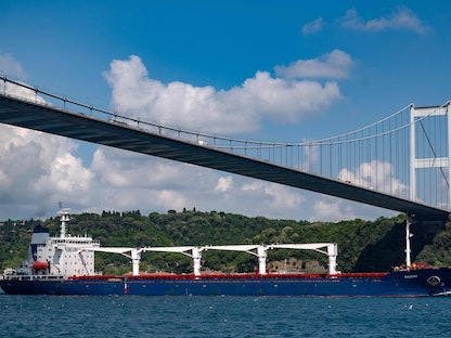 سفينة الشحن "رازوني" التي تنقل أول شحنة مصدرة من الحبوب الأوكرانية على طول مضيق البوسفور بعد مرروها من إسطنبول - 3 أغسطس 2022 - AFP