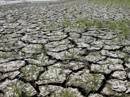 انخفاض منسوب المياه في نهر ماجدالينا بعد ارتفاع درجة الحرارة بسبب ظاهرة "إل نينيو" في كولومبيا. 14 يناير 2016 - Reuters