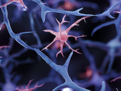 صورة توضيحية للدماغ البشري - Science Photo Library via AFP
