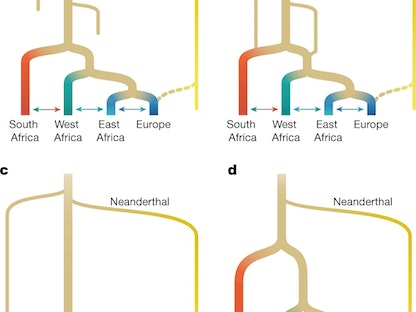 دراسة: الجنس البشري المعاصر نشأ في إفريقيا قبل 300 ألف عام