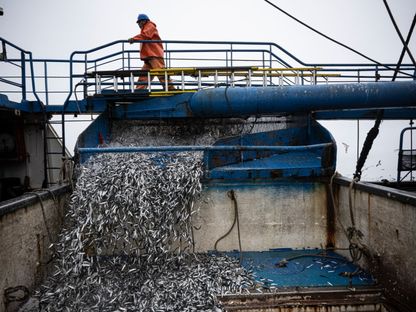 ارتفاع حرارة المحيطات يؤثر سلباً على قطاع صيد الأسماك في بيرو