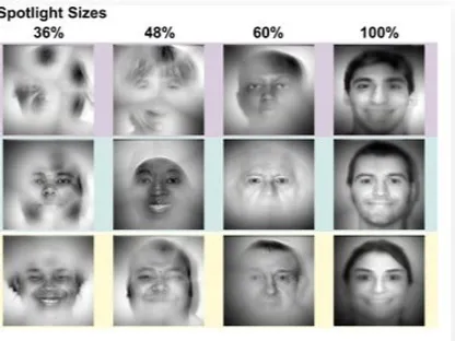 رسم توضيحي يبين اختلاف قدرات البشر في التعرف على الوجوه - royalsocietypublishing.org