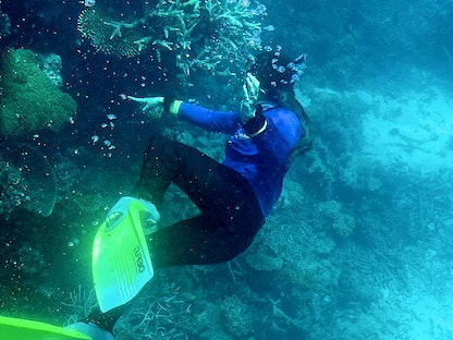 غواص يشير إلى الشعاب المرجانية على الحاجز المرجاني العظيم قبالة ساحل ولاية كوينزلاند في أستراليا - 7 مارس 2022 - AFP