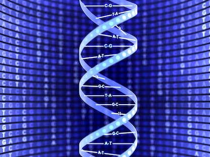 صورة تقريبية من الحمض النووي الريبوزي منقوص الأكسجين DNA - Getty Images