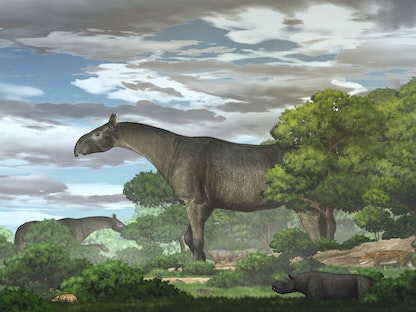 وحيد القرن العملاق خلال عصر الأوليجوسين، في صورة متخيلة قدمتها الدراسة - REUTERS