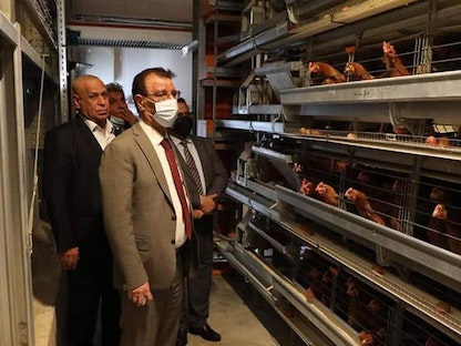 وزير الزراعة العراقي المهندس محمد الخفاجي يتفقد مشروع "دواجن الرميلة" بمحافظة البصرة - facebook/agrimediaiq