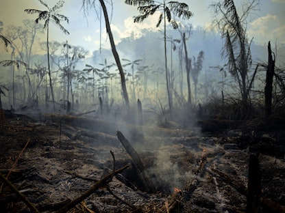 جانب من حرائق غابات الأمازون في منطقة نوفو بروغريسو - 16 أغسطس 2020 - AFP