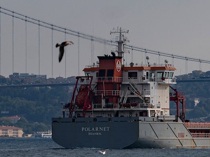 سفينة تحمل أطناناً من الحبوب الأوكرانية تبحر في مضيق البوسفور قرب إسطنبول. 7 أغسطس 2022 - AFP
