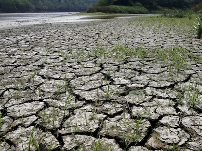 انخفاض منسوب المياه في نهر ماجدالينا بعد ارتفاع درجة الحرارة بسبب ظاهرة "إل نينو" في كولومبيا. 14 يناير 2016 - REUTERS